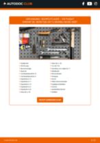 Stap-voor-stap PDF-handleidingen over het veranderen van VW PASSAT Variant (3C5) Veerpootlager