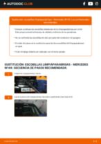 Cambio Escobillas de Limpiaparabrisas traseras y delanteras MERCEDES-BENZ A-CLASS (W169): guía pdf