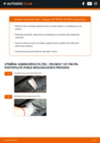 Podrobné PDF tutoriály, jak vyměnit Filtry Pevných Částic na autě Skoda Favorit 781