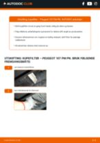 Hvordan bytte og justere Sugeslange, luftfilter PEUGEOT 107: pdf håndbøker