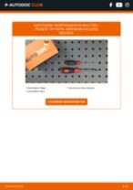 Cambio Muelle neumatico maletero PEUGEOT bricolaje - manual pdf en línea