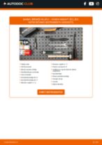Tiešsaistes rokasgrāmata, kā mainīties Degvielas filtrs uz KIA K2900