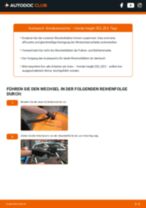 Lancia Beta Spider Stoßdämpfer Gasdruck und Öldruck austauschen: Anweisung pdf