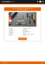 Byta Huvudstrålkastare Matrix LED SMART ROADSTER: guide pdf