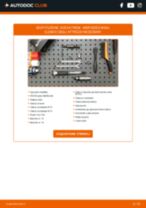 METZGER 6110141 per Classe B (W245) | PDF istruzioni di sostituzione