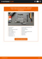 Mudar Discos de Travão ventilados e perfurados MERCEDES-BENZ B-CLASS (W245): guia pdf
