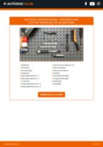 Wechseln von Lenkspindel + Elektrische Lenkhilfe MERCEDES-BENZ B-CLASS: PDF kostenlos
