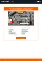 Werkstatthandbuch für ACCORD V (CE, CF) 2.2 (CE1) online