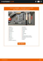 Byta Tillbehörssats, skivbromsbelägg IVECO POWER DAILY: guide pdf