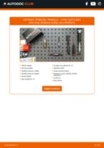 Peržiūrėk mūsų informatyvias PDF pamokas apie FORD FIESTA Box (JV_) techninę priežiūrą ir remontą
