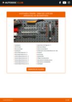 Smart 450 Hauptbremszylinder: Schrittweises Handbuch im PDF-Format zum Wechsel