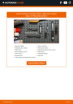 Come cambiare Bronzina cuscinetto barra stabilizzatrice FORD Falcon Pritsche / Fahrgestell (AU) - manuale online