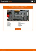 DIY-manual för byte av Stabilisatorstag i ALPINA B10