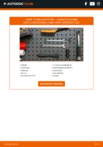 ALPINA B10 Stabilizátor összekötő cseréje : ingyenes pdf