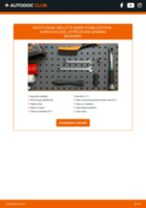 Come cambiare è regolare Tiranti barra stabilizzatrice ALPINA D10: pdf tutorial