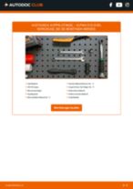 Reparatur- und Servicehandbuch für ALPINA D10