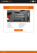 Werkstatthandbuch ALPINA D10 online