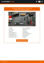 FORD TRANSIT Custom Stoßdämpfer Gasdruck und Öldruck tauschen: Handbuch pdf