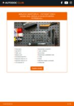 Priročnik PDF o vzdrževanju PASSAT zaboj /kombi (365) 1.4 TSi BlueMotion