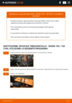 Come cambiare Spazzole tergicristallo anteriore e posteriore SKODA 105 / 120 - manuale online