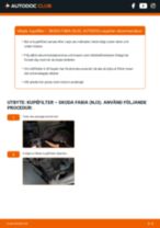 Manuell PDF för FABIA (NJ3) 1.0 LPG underhåll