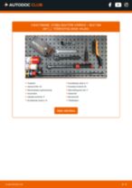 Käsiraamat PDF Mii (KF1_) electric hoolduse kohta