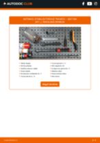Instrukcijos PDF apie Mii (KF1_) electric priežiūrą