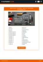 Trin-for-trin PDF-tutorial om skift af LANCIA Aurelia Spider (B24) Hjulnav