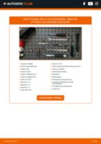 Cambio Fari Anteriori Matrix LED AUDI Q7: guida pdf