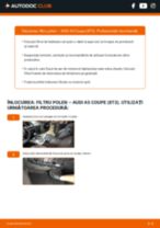 Manualele ilustrate pentru vizitele curente de mentenanță ale AUDI A5 (8T3)