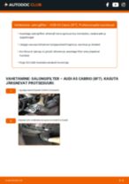Samm-sammuline PDF-juhend AUDI A5 Convertible (8F7) Salongifilter asendamise kohta