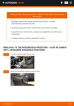 Ilustrirani priročniki za rutinske vzdrževalne preglede avta AUDI