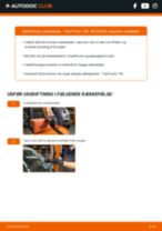 Den professionelle guide til udskiftning af Viskerblade på din Fiat Punto 199 1.3 D Multijet