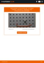 PDF manuale di sostituzione: Filtro antipolline FIAT DOBLO Cassone / Furgonato / Promiscuo (263) carbone attivo e antibatterico