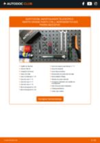 PDF manual sobre mantenimiento GRANDE PUNTO