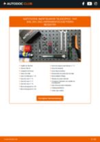 Manual de taller para 500L (351_, 352_) 1.6 D Multijet (199LYD1B) en línea