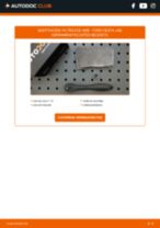 Cambio Elemento filtro de aire FORD bricolaje - manual pdf en línea