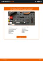 De professionele handleidingen voor Remklauw-vervanging in je Skoda Roomster 5j 1.6