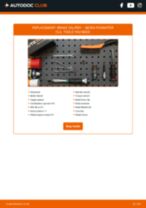 SKODA ROOMSTER repair manual and maintenance tutorial