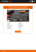 Den professionelle guide til udskiftning af Bremsetromler på din Skoda Roomster Praktik 1.2 TSI
