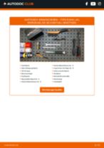 Werkstatthandbuch FORD B-MAX online