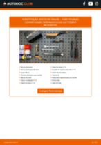 PDF manual sobre manutenção de Tourneo Courier