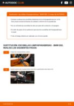 Reemplazar Luces matrícula BMW 1 SERIES: pdf gratis