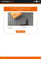 Cambio Filtro antipolline carbone attivo e antibatterico ALPINA da soli - manuale online pdf