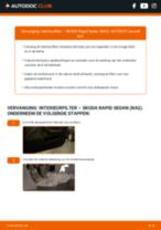 Stap-voor-stap PDF-handleidingen over het veranderen van SKODA RAPID (NA2) Interieurfilter