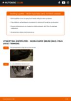 DIY-manual for utskifting av Kupefilter i SKODA RAPID 2023