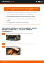 La guía profesional para realizar la sustitución de Filtro de Combustible en tu Renault Megane 3 Coupe 1.4 TCe