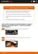 La guía profesional para realizar la sustitución de Pastillas De Freno en tu Renault Megane 3 1.9 dCi