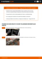 Schrittweises Tutorial zur Reparatur für Expert III Pritsche / Fahrgestell (V) 2019