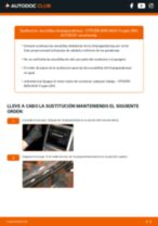 La guía profesional para realizar la sustitución de Escobillas de Limpiaparabrisas en tu Citroen Berlingo mk2 1.6 HDi 90 16V